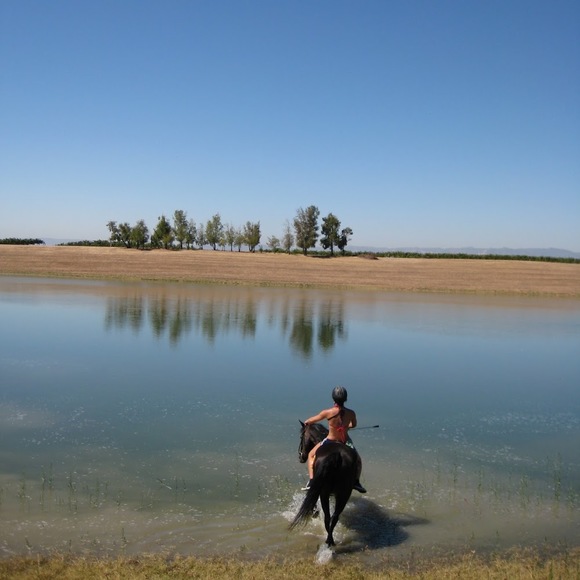 Meet your Posher, Zoe - Picture 1 of 1